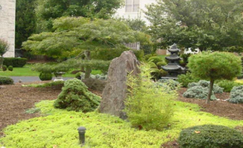 LandArt Impression, Inc. - Photo 3