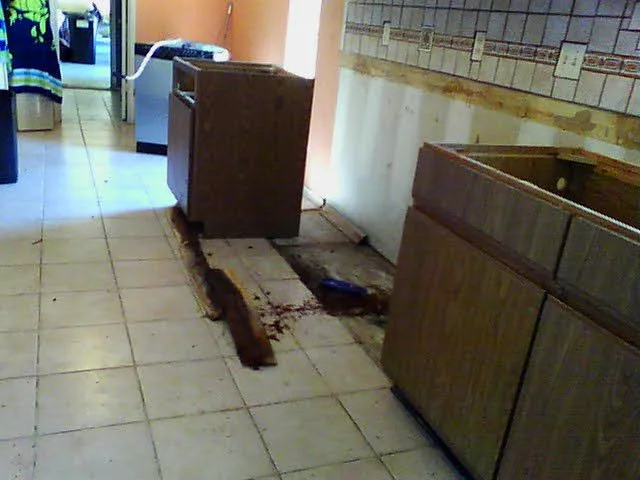 Water Damage in the Kitchen by Built Dfw - Photo 17