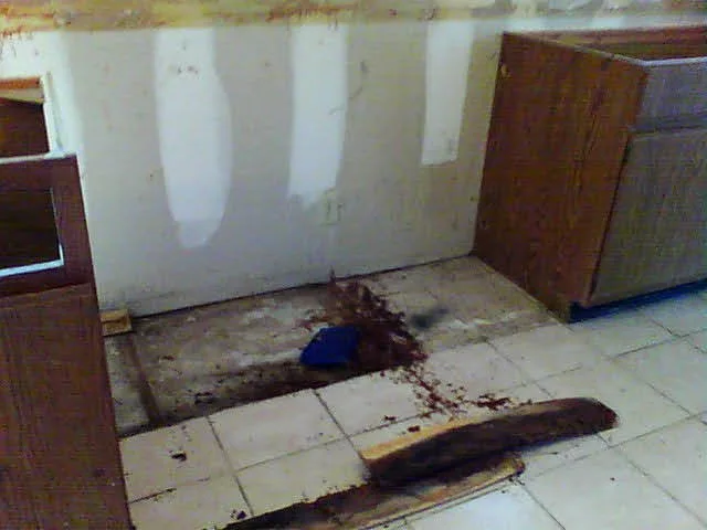 Water Damage in the Kitchen by Built Dfw - Photo 38