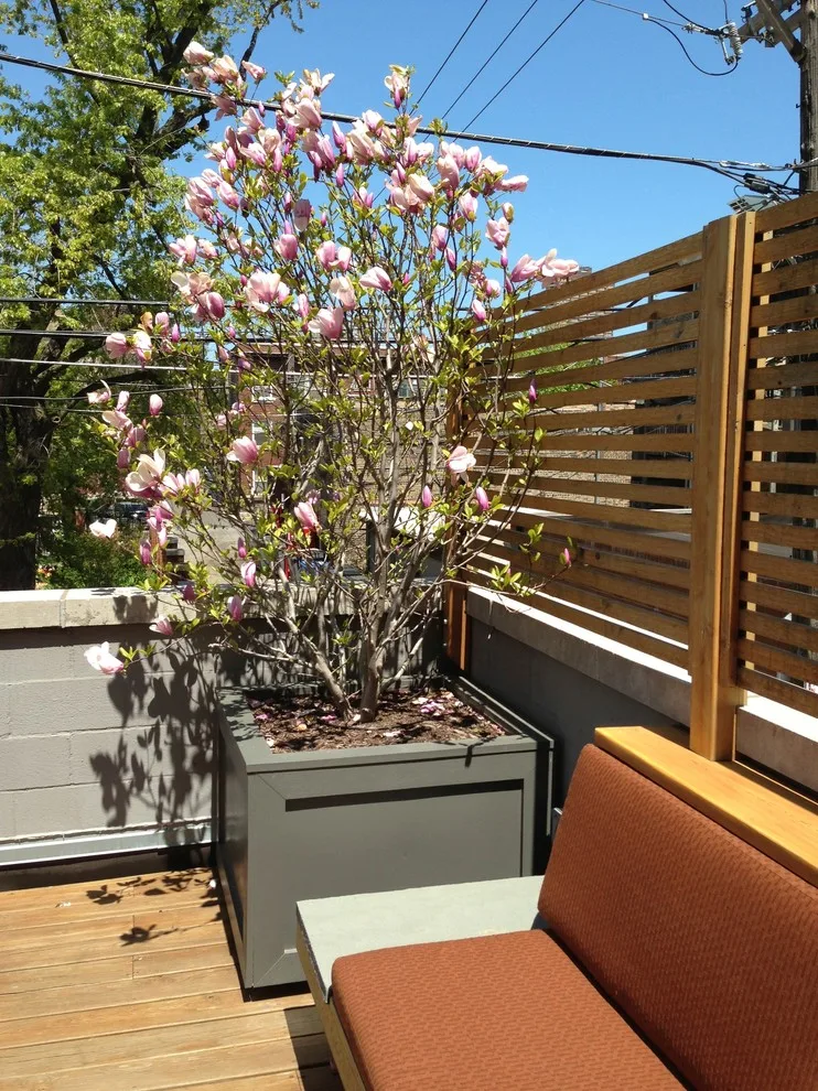 Lakeview Rooftop Deck by Nest Construction - Photo 7