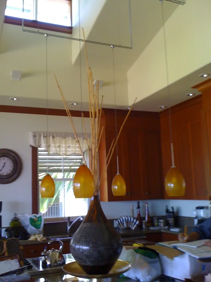 Kolea Project by Designs By MDM Hawaii - Photo 9