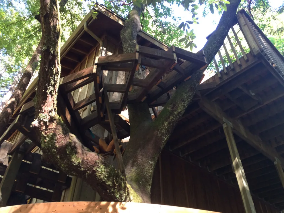 Woodland Grotto by David Bullene Designs - Photo 10