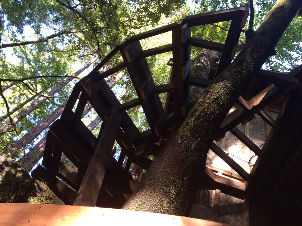 Woodland Grotto by David Bullene Designs - Photo 15
