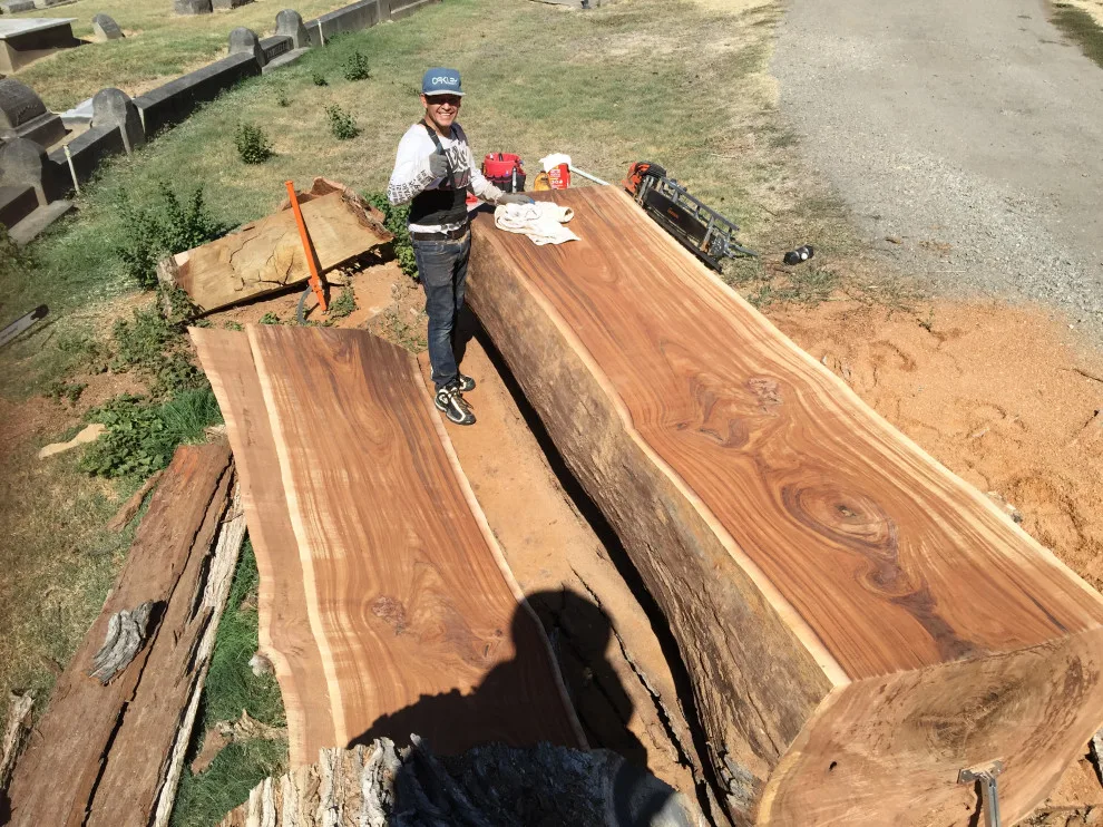 Los Altos Renovation by Santa Cruz Timber Works - Photo 28