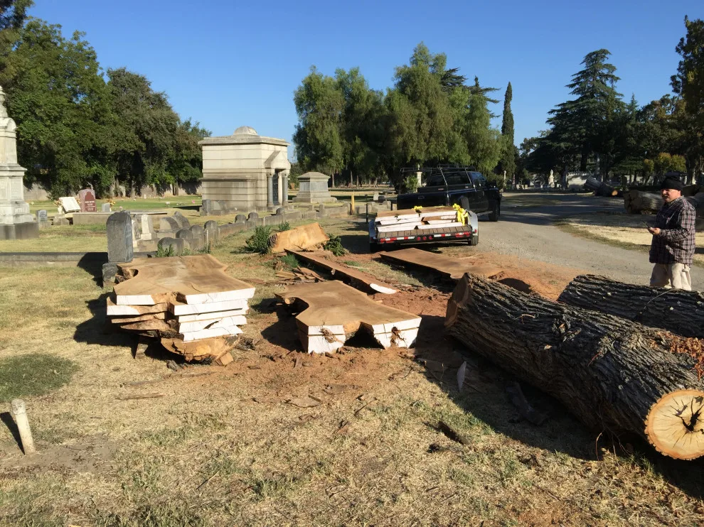 Los Altos Renovation by Santa Cruz Timber Works - Photo 44