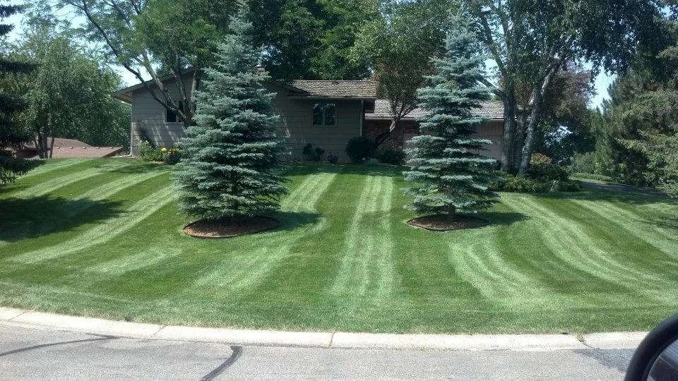 Landscape Complete LLC - Photo 4