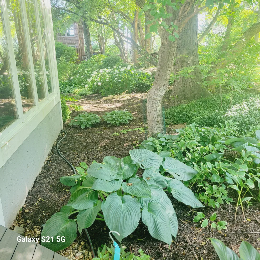2023 HIGHLIGHTS: BEFORE AND AFTER by Creative Outdoor Spaces - Photo 2