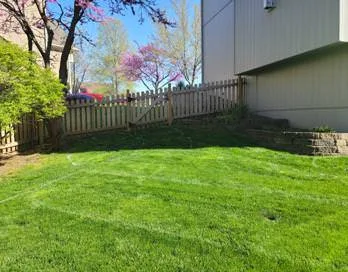2023 HIGHLIGHTS: BEFORE AND AFTER by Creative Outdoor Spaces - Photo 15