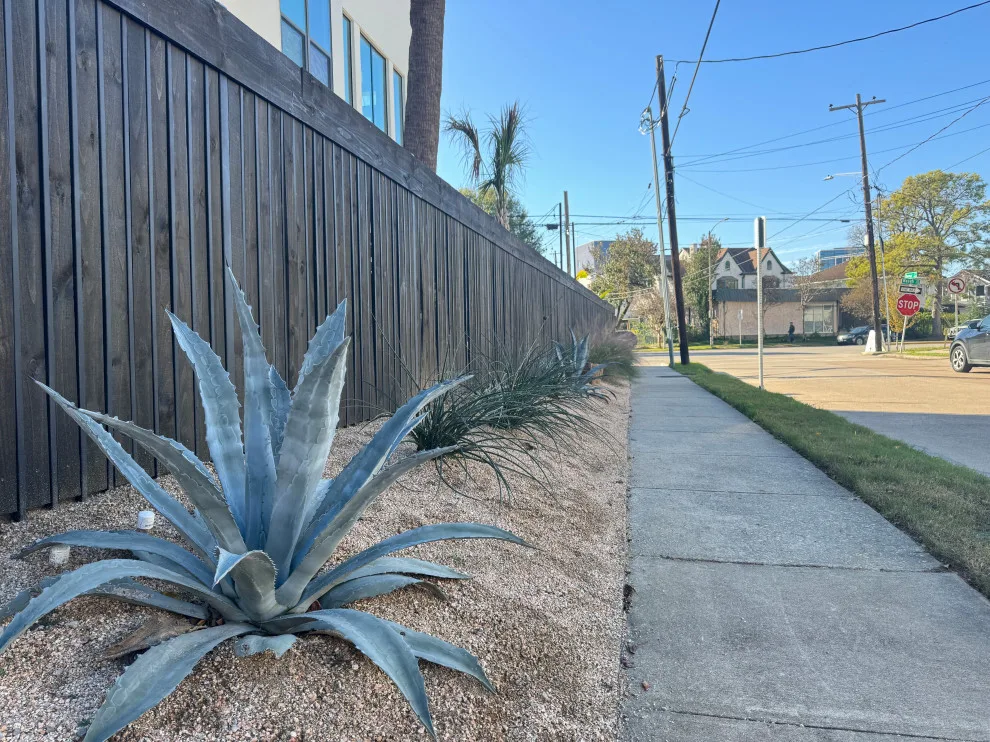 Montrose - Xeriscape on Bomar Street by Holmes Landscape Company - Photo 3