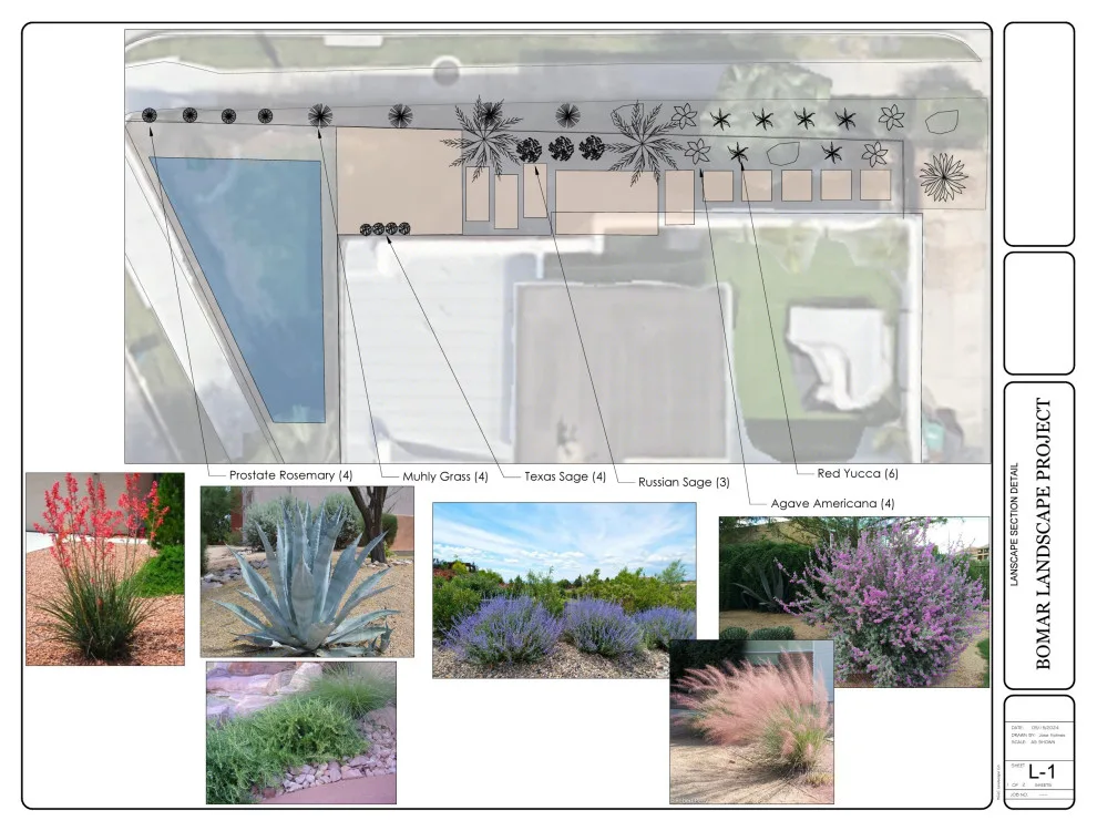 Montrose - Xeriscape on Bomar Street by Holmes Landscape Company - Photo 13
