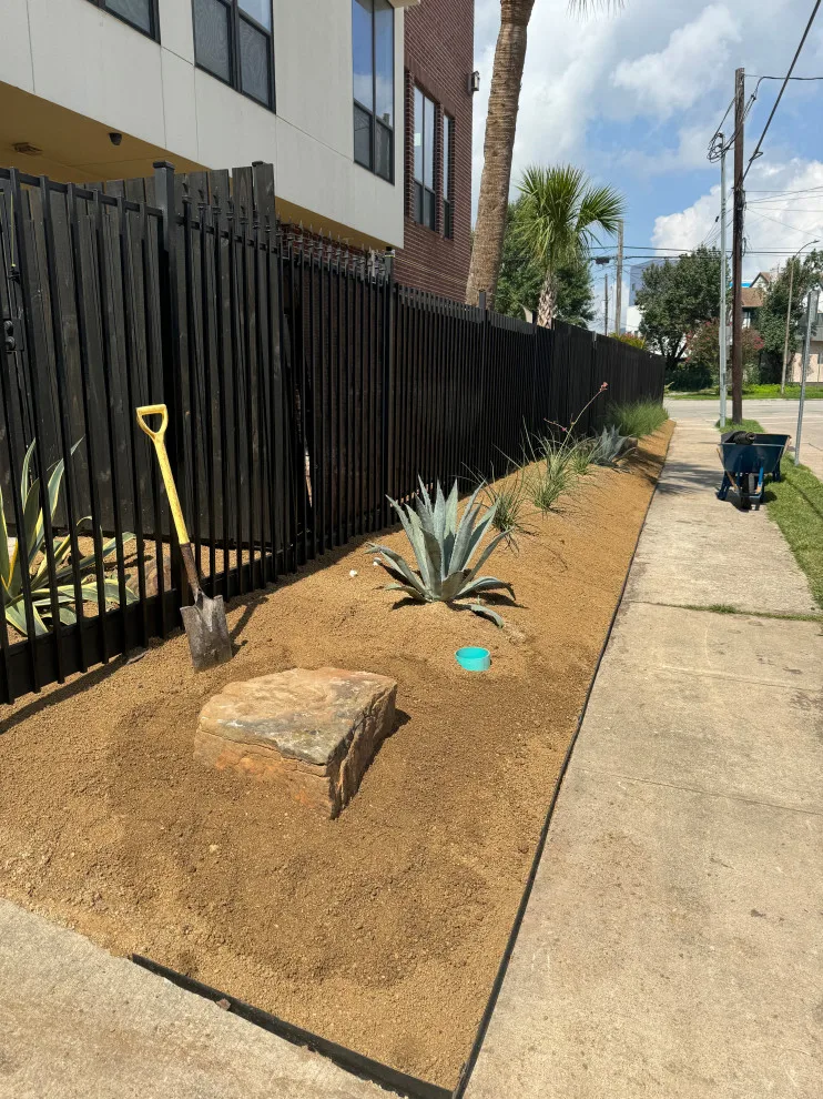 Montrose - Xeriscape on Bomar Street by Holmes Landscape Company - Photo 12