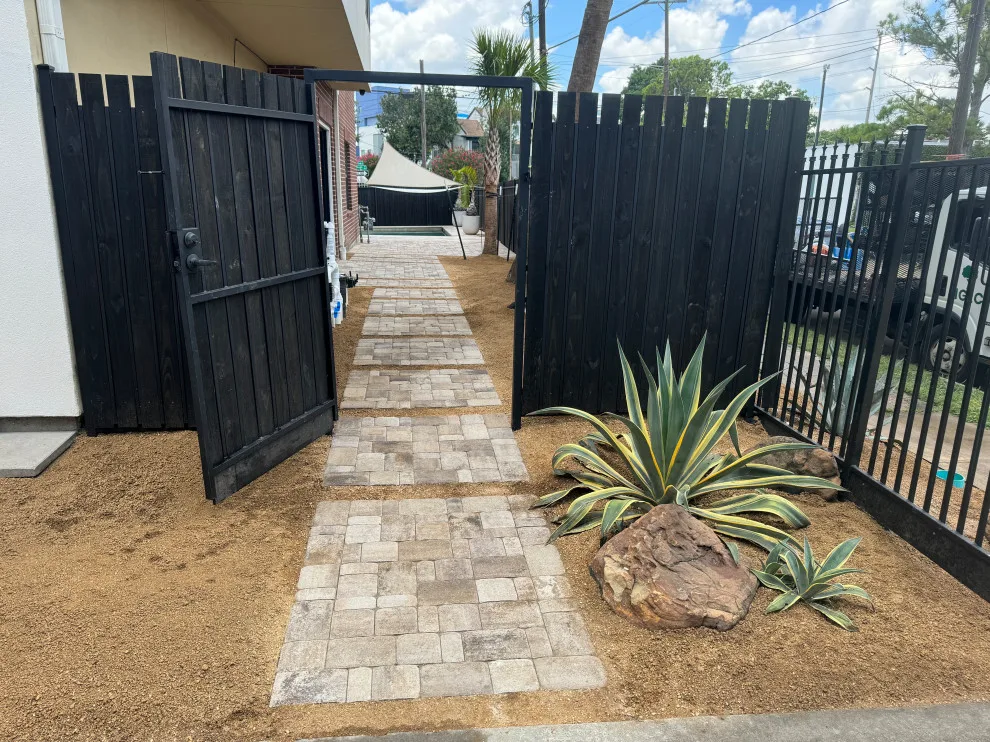 Montrose - Xeriscape on Bomar Street by Holmes Landscape Company - Photo 6