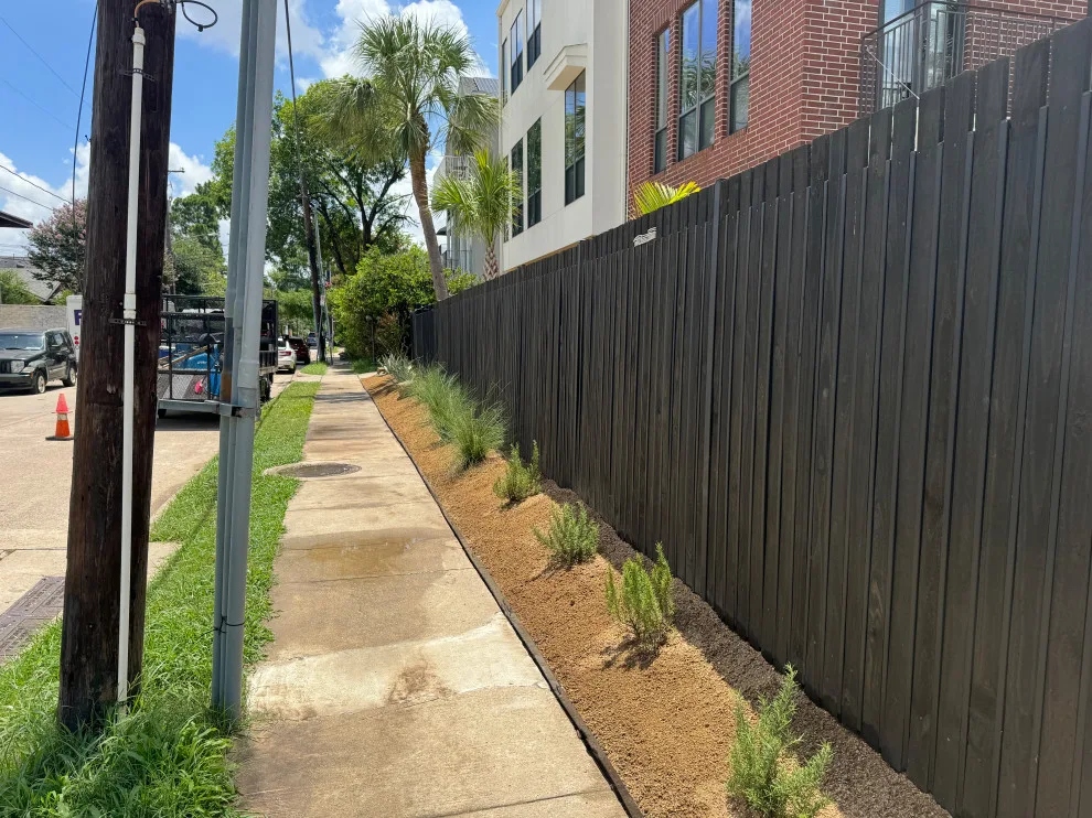 Montrose - Xeriscape on Bomar Street by Holmes Landscape Company - Photo 11
