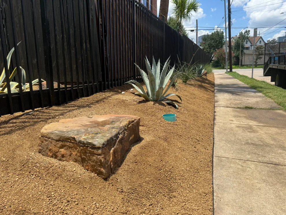 Montrose - Xeriscape on Bomar Street by Holmes Landscape Company - Photo 10
