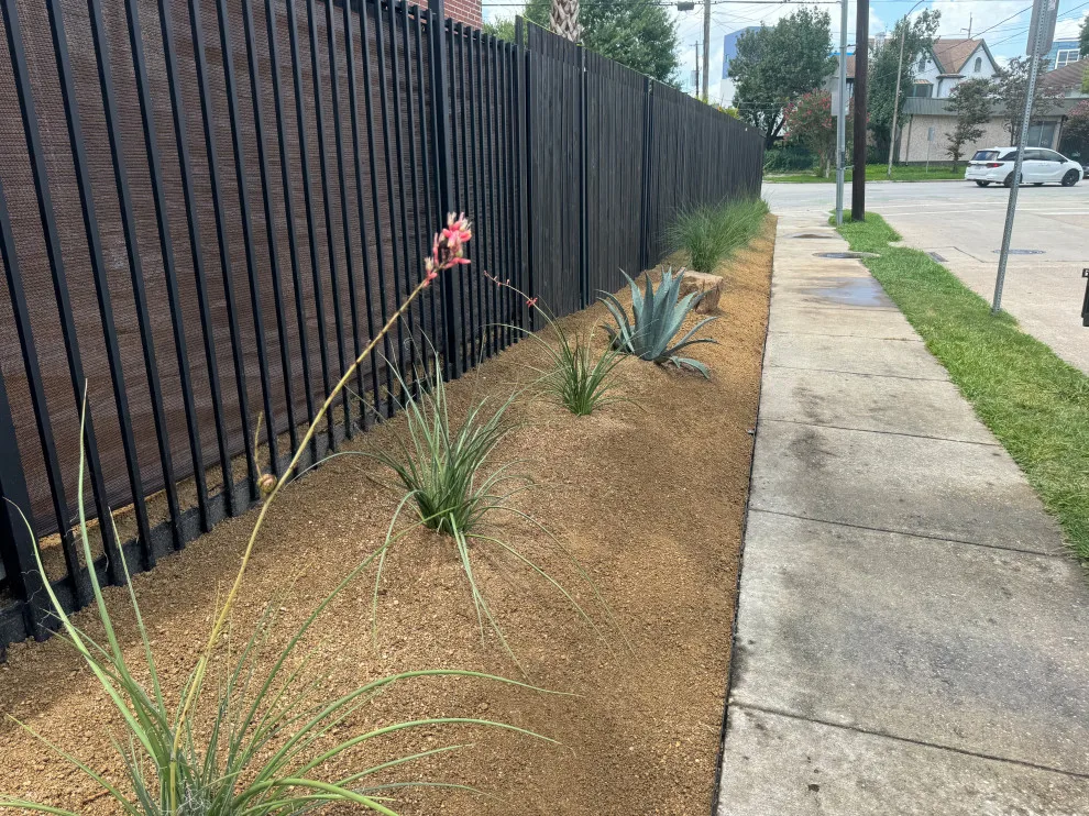 Montrose - Xeriscape on Bomar Street by Holmes Landscape Company - Photo 7