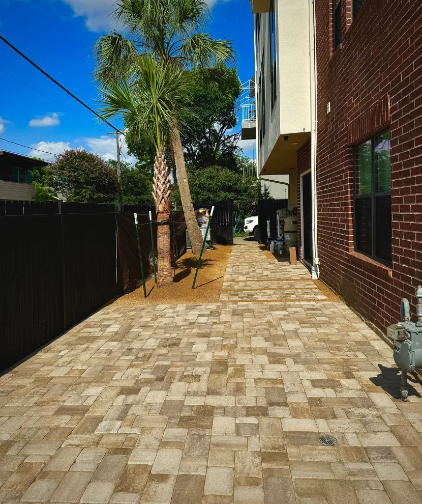 Montrose - Xeriscape on Bomar Street by Holmes Landscape Company - Photo 4