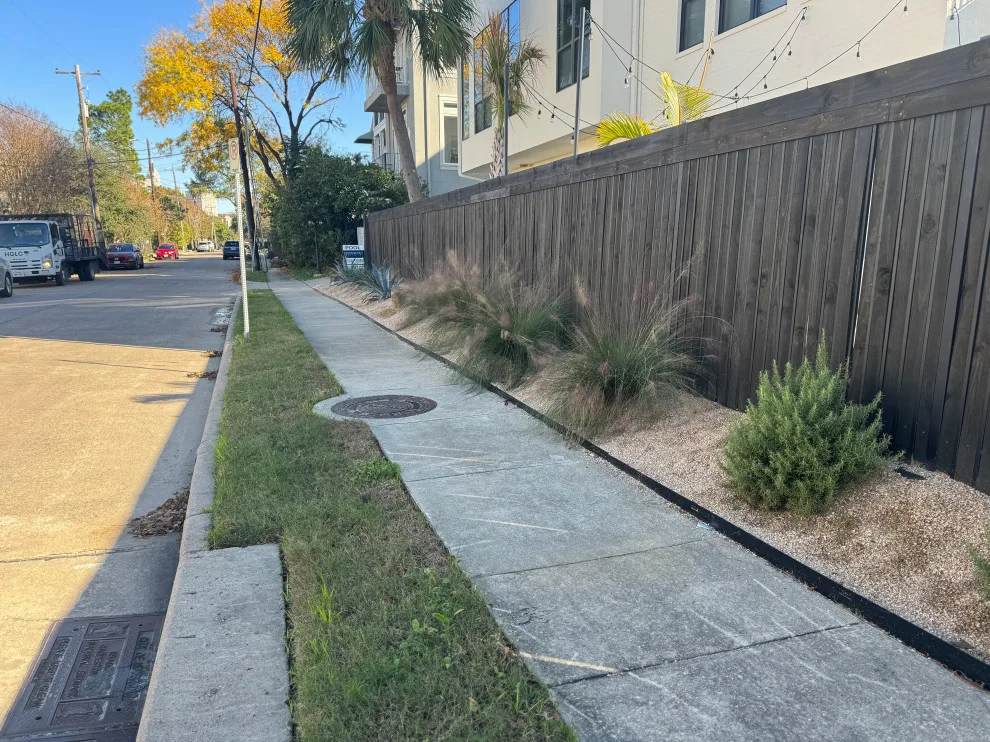 Montrose - Xeriscape on Bomar Street by Holmes Landscape Company - Photo 5