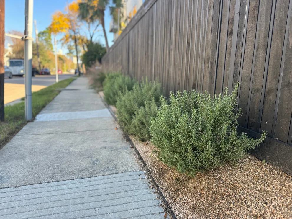 Holmes Landscape Company - Photo 9