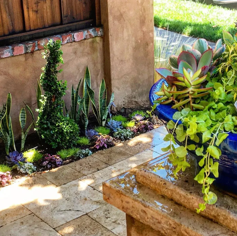 Taormino Gardening - Photo 8