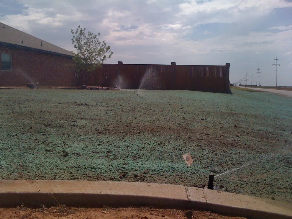 Lubbock Landscape Design: From Dirt to Lush by Austex Landscape - Photo 38