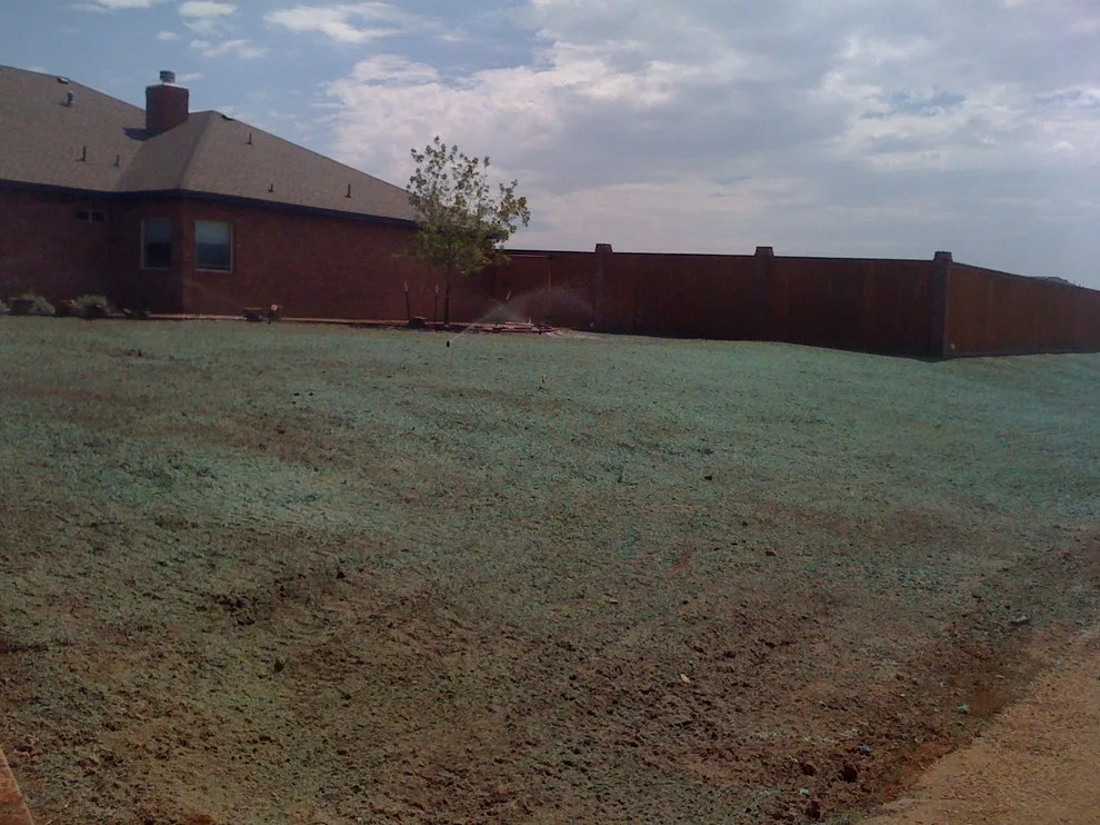 Lubbock Landscape Design: From Dirt to Lush by Austex Landscape - Photo 27