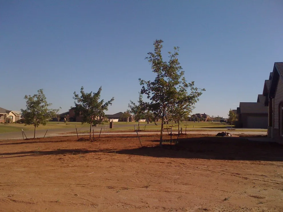 Lubbock Landscape Design: From Dirt to Lush by Austex Landscape - Photo 6