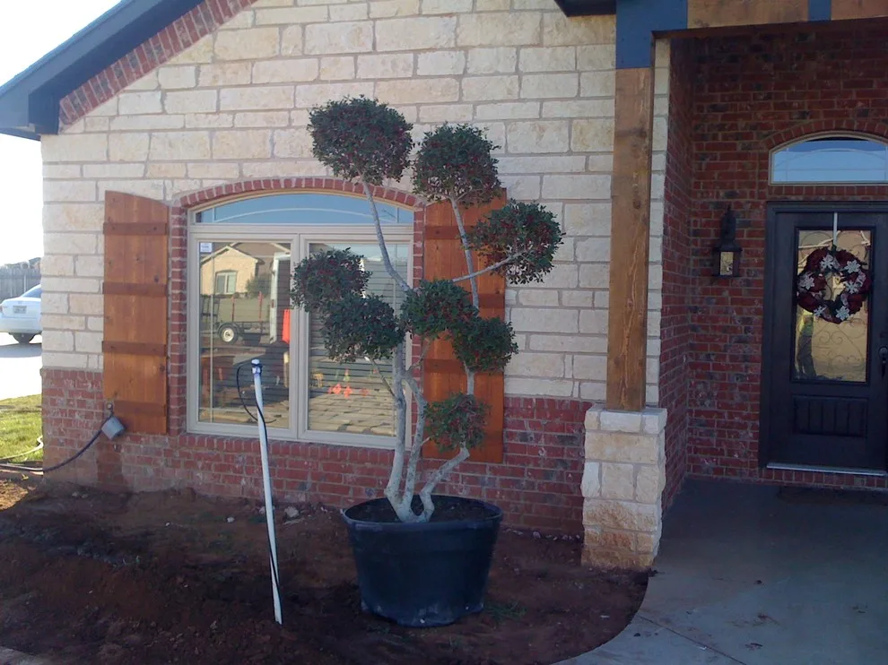 Lubbock Landscape Design: From Dirt to Lush by Austex Landscape - Photo 3