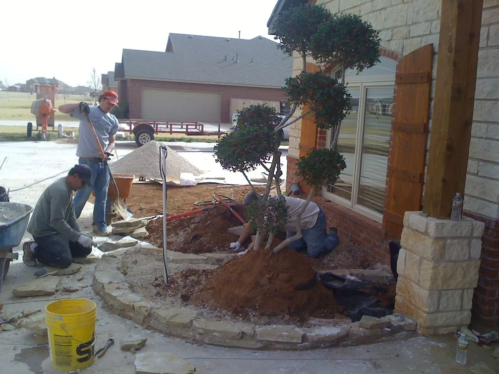 Lubbock Landscape Design: From Dirt to Lush by Austex Landscape - Photo 24