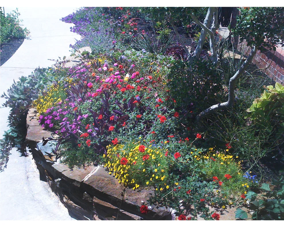 Lubbock Landscape Design: From Dirt to Lush by Austex Landscape - Photo 35