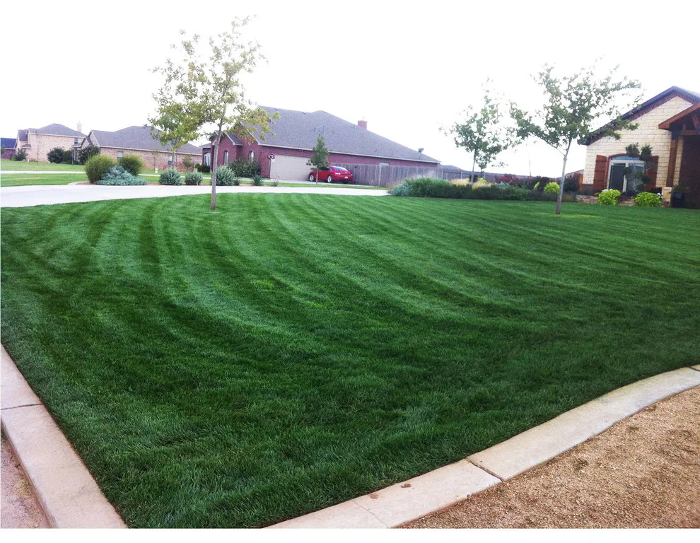 Lubbock Landscape Design: From Dirt to Lush by Austex Landscape - Photo 28
