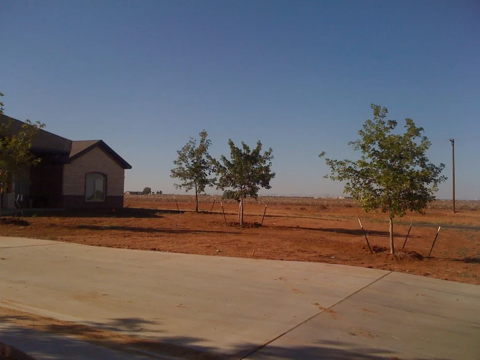 Lubbock Landscape Design: From Dirt to Lush by Austex Landscape - Photo 32