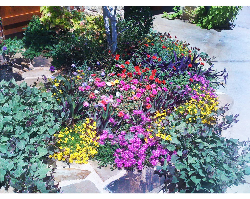 Lubbock Landscape Design: From Dirt to Lush by Austex Landscape - Photo 7