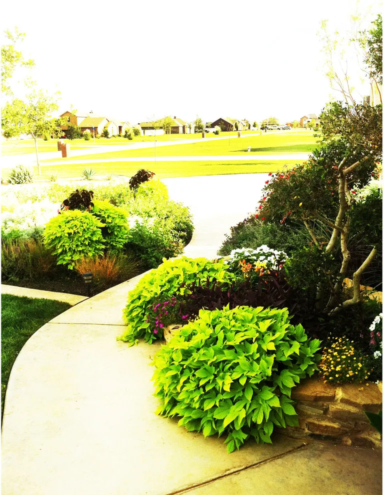 Lubbock Landscape Design: From Dirt to Lush by Austex Landscape - Photo 22