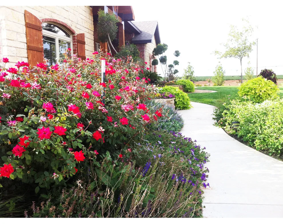 Lubbock Landscape Design: From Dirt to Lush by Austex Landscape - Photo 30