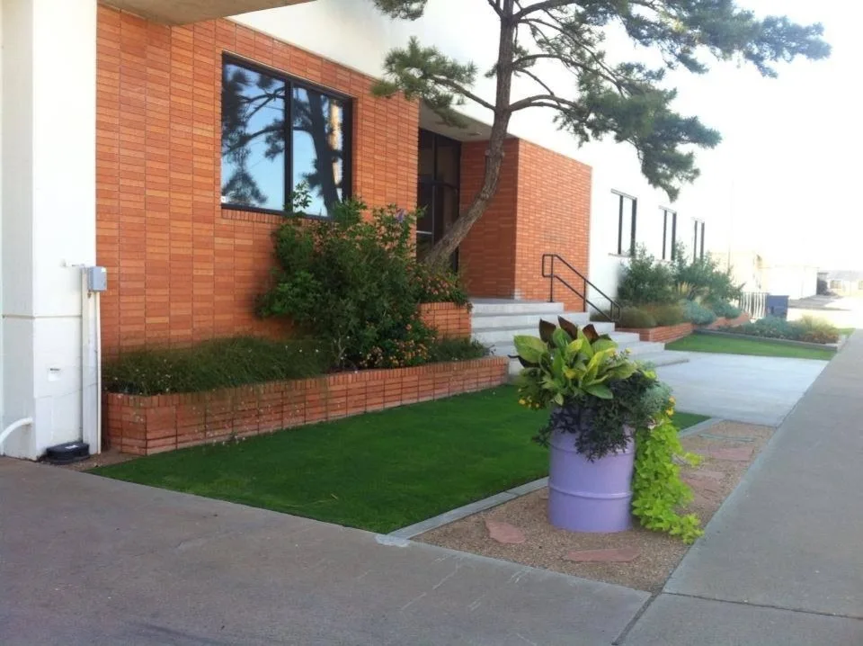 Texas Tech Landscape Architecture Graduate's Urban Oasis Design by Austex Landscape - Photo 2