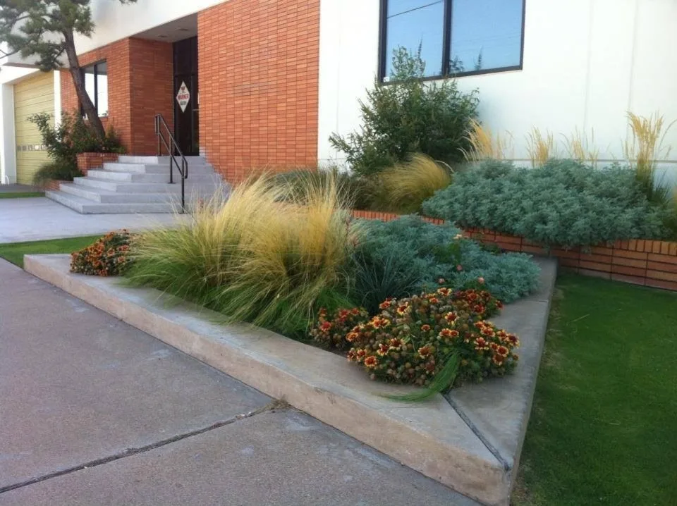 Texas Tech Landscape Architecture Graduate's Urban Oasis Design by Austex Landscape - Photo 3