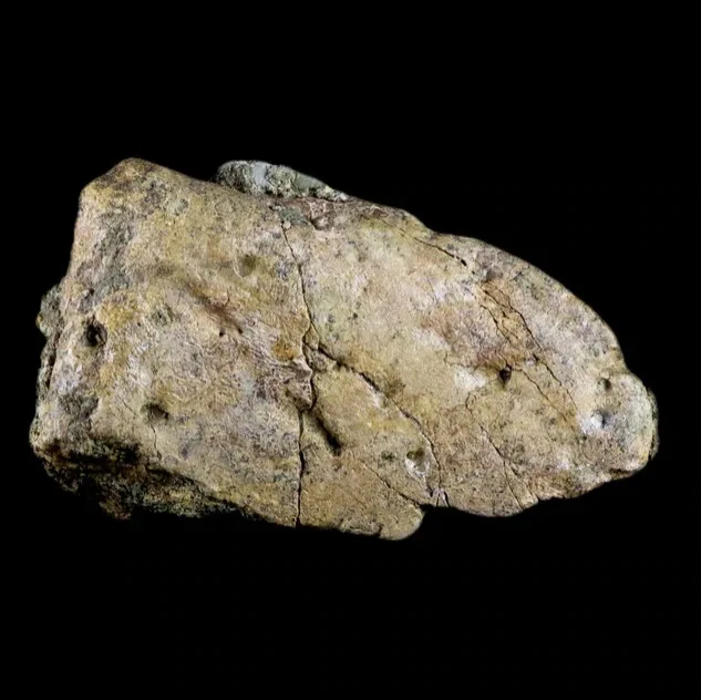 Fossil Age Minerals - Photo 2