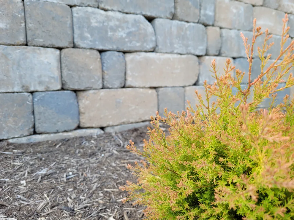 Outdoor Family Enjoyment 2022 by Carex Design Group - Photo 10