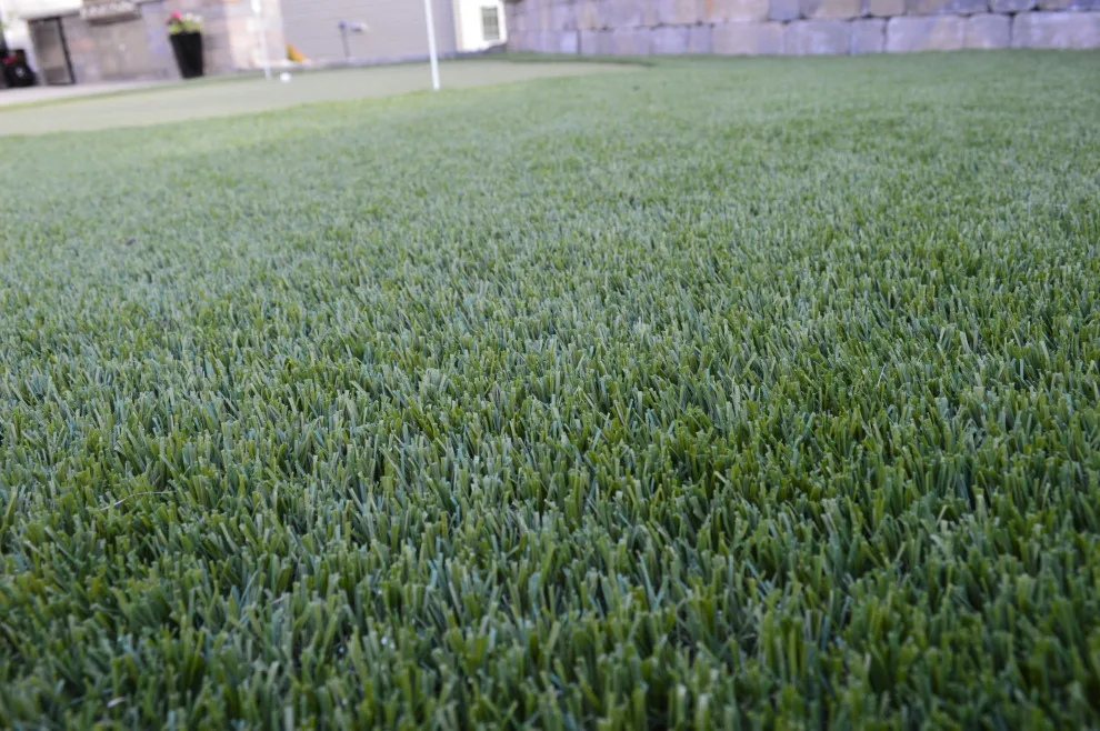 Outdoor Family Enjoyment 2022 by Carex Design Group - Photo 12