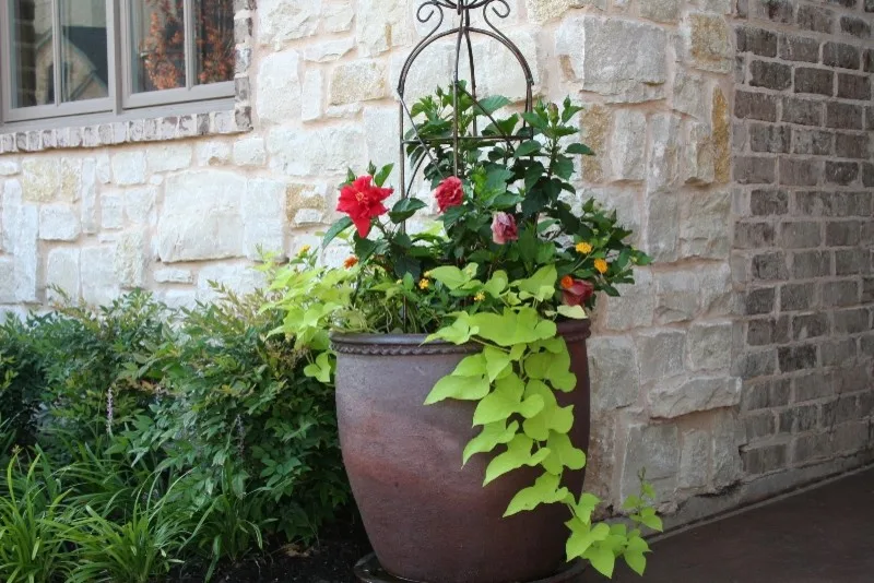 Oklahoma Scenery by Red Valley Landscape & Construction Inc - Photo 47