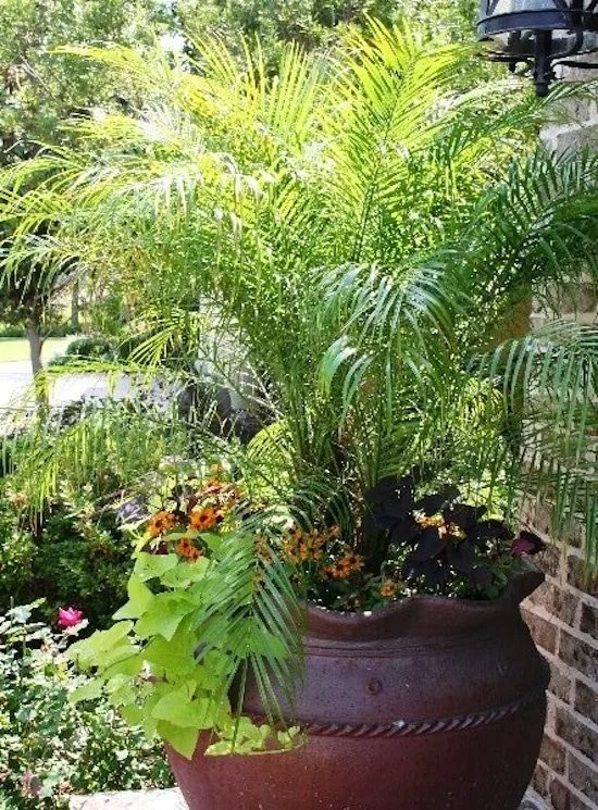 Oklahoma Scenery by Red Valley Landscape & Construction Inc - Photo 32