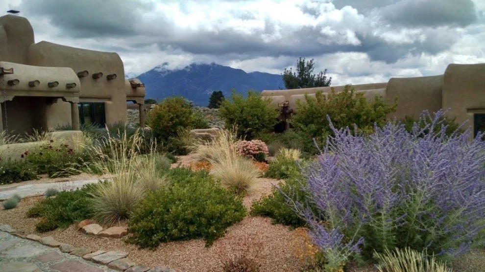 Transformation Images by Taos Landscaping - Photo 5