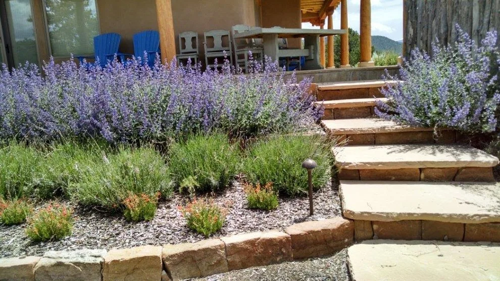 Transformation Images by Taos Landscaping - Photo 18