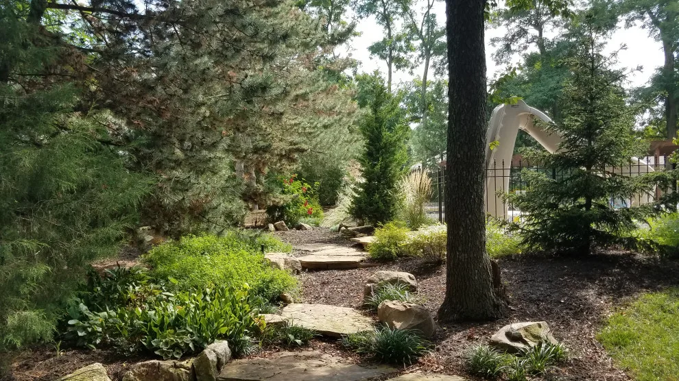 Then and Now by Creative Outdoor Spaces - Photo 10