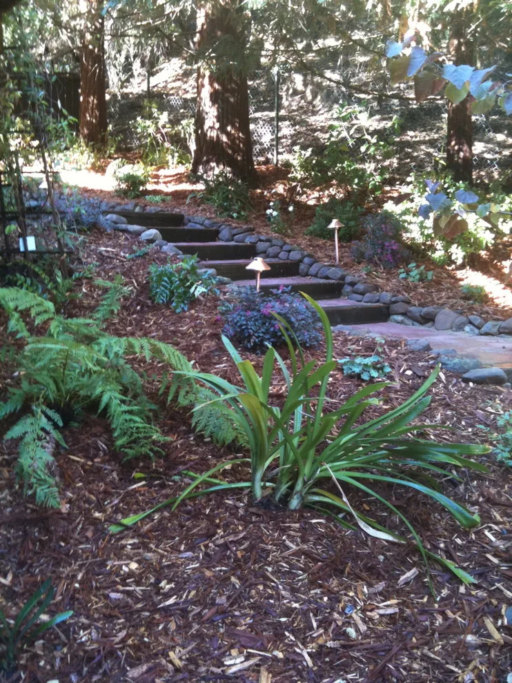 Walkways and Outdoor Spaces by Gardens & Gables - Photo 4