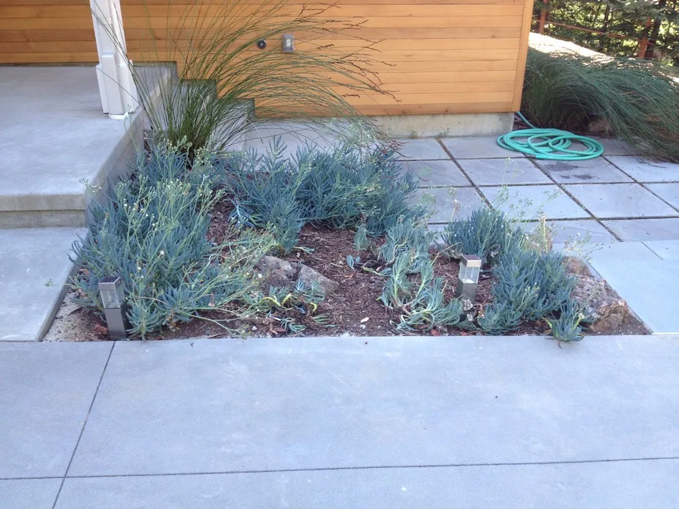 Walkways and Outdoor Spaces by Gardens & Gables - Photo 45