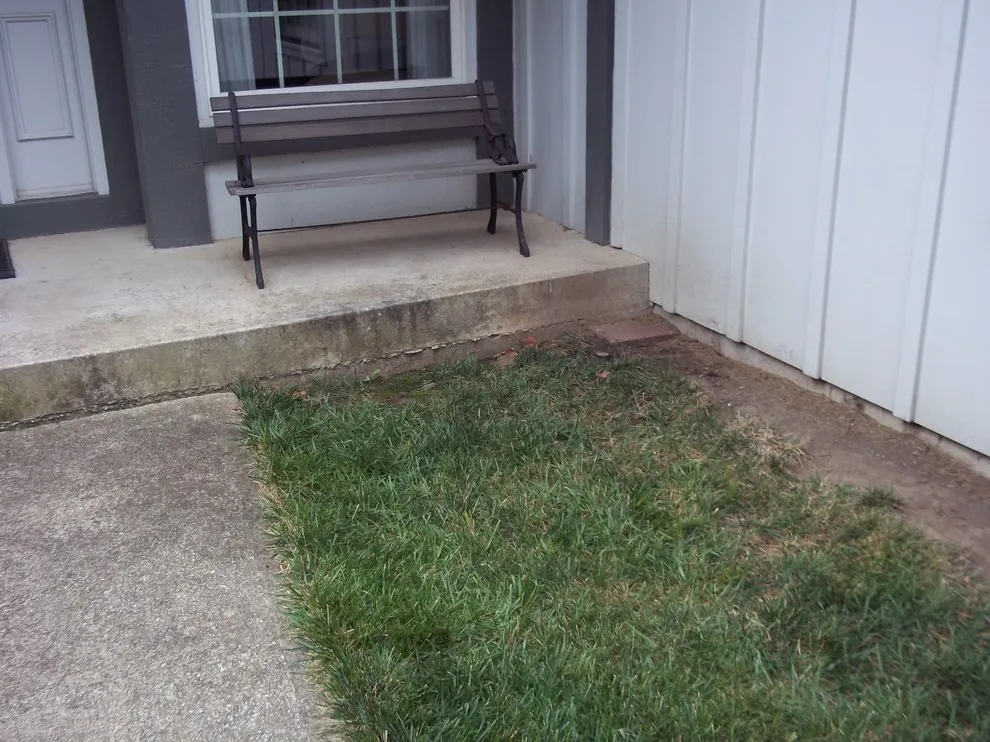 Bob and Sheryl's Garden Space by Second Nature Outdoor Living & Landscaping - Photo 2