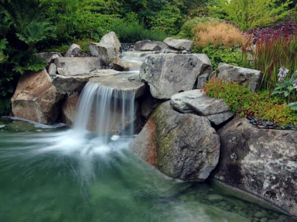 Bothell Greenery by Land Expressions LLC - Photo 5
