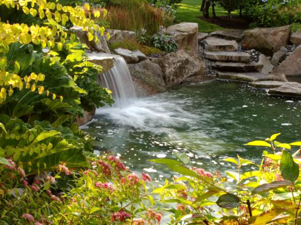 Land Expressions LLC - Photo 13