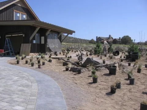 Brasada Retreat by Heart Springs Landscape Design, LLC - Photo 8